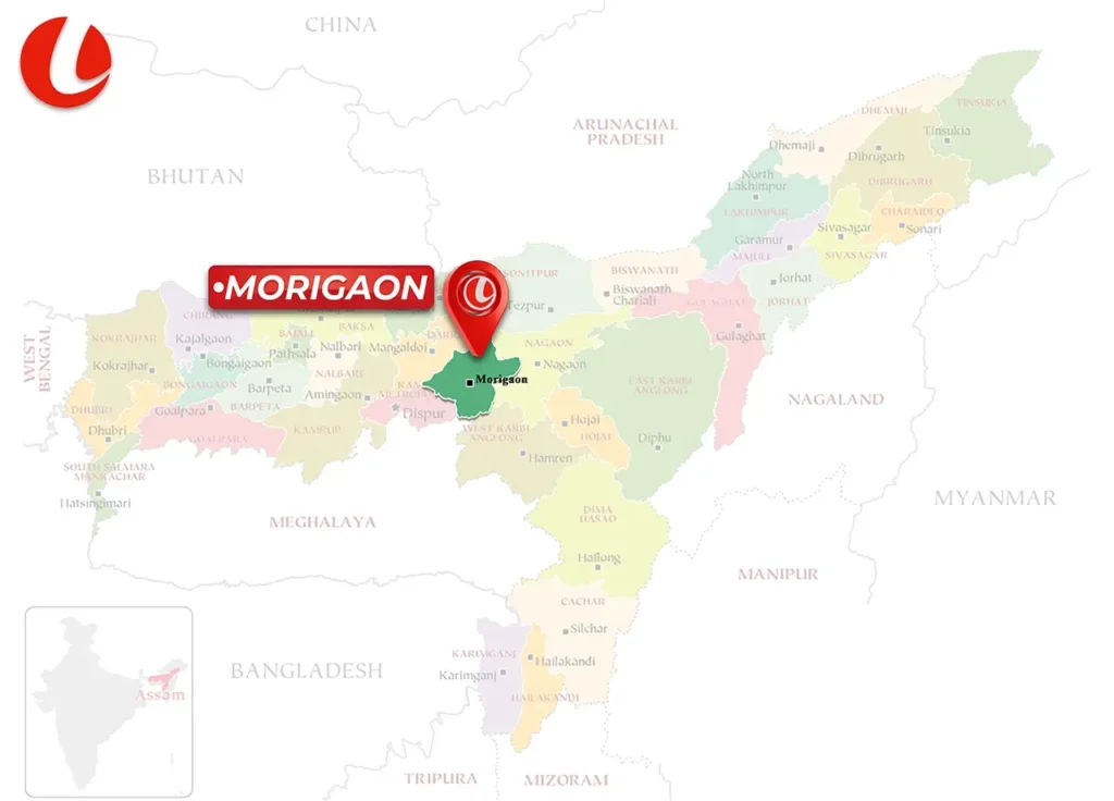 colour prediction game in morigaon - lucknow games