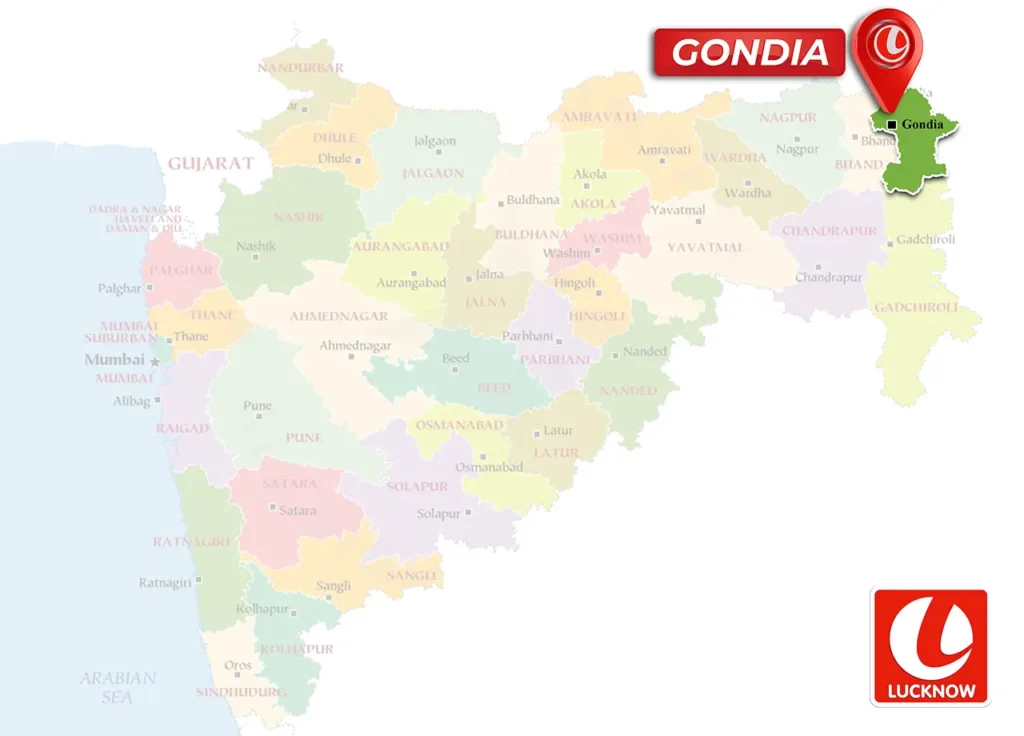 colour prediction game in gondia